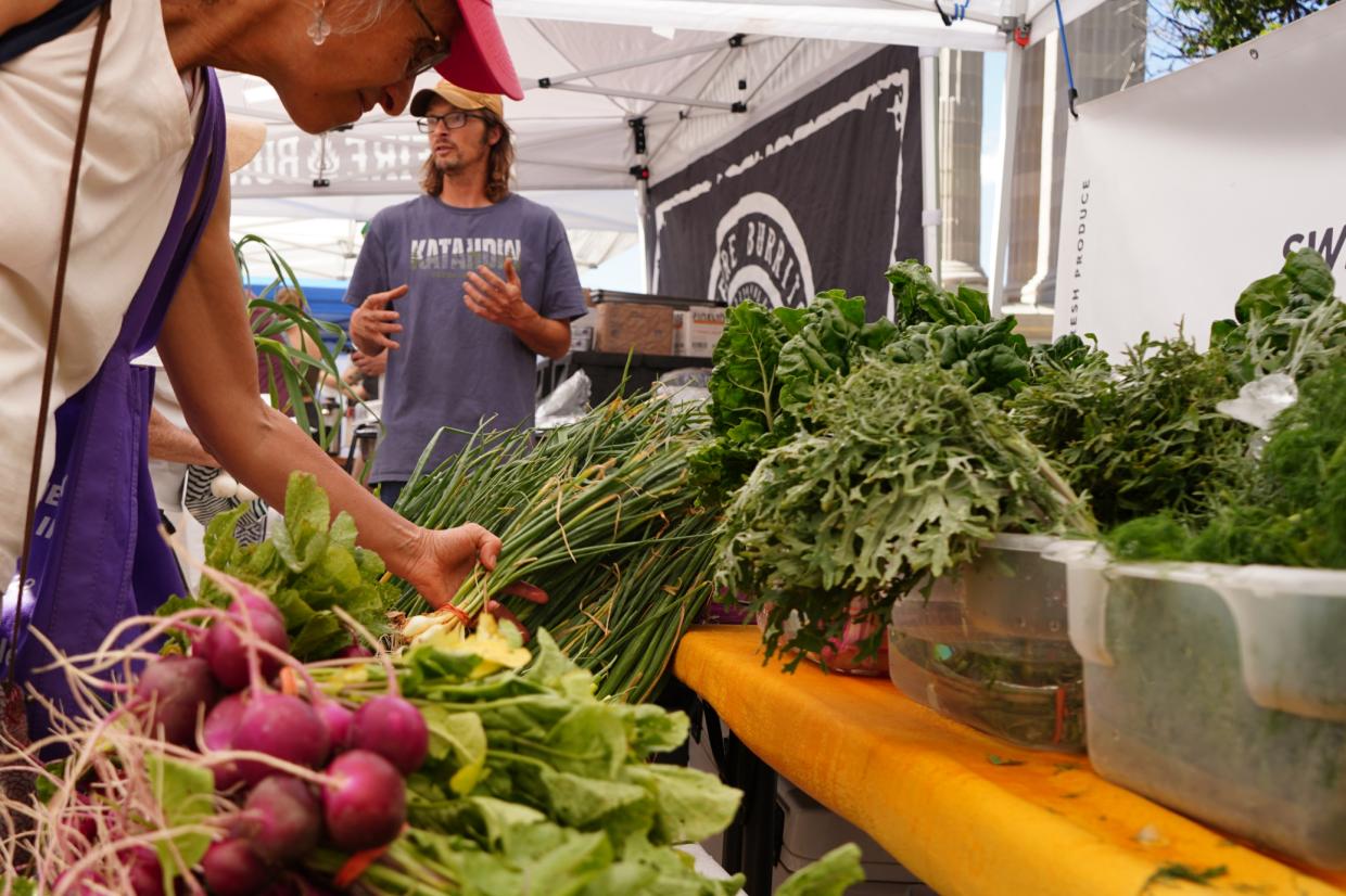 person shopping for fresh vegetables at a farmers' market