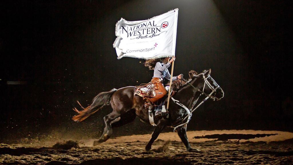 PBR Bull Riding Finals – Wed. Jan. 14 7pm