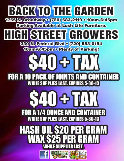 Fleeting Fireflies Illuminate Colorado’s Summer Nights…and Researchers Are Watching