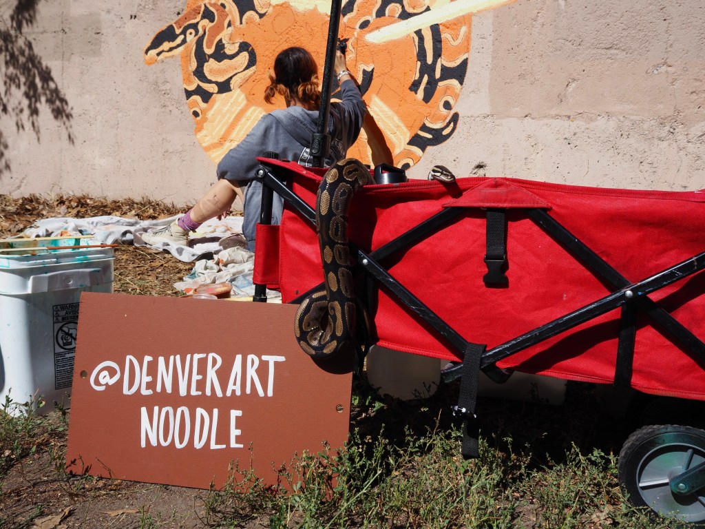A snake in a red wagon near a sign that says "@DenverArtNoodle"