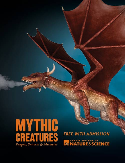 Aurora Evictions Draw Attention to Owner’s Neglect at Other Apartments