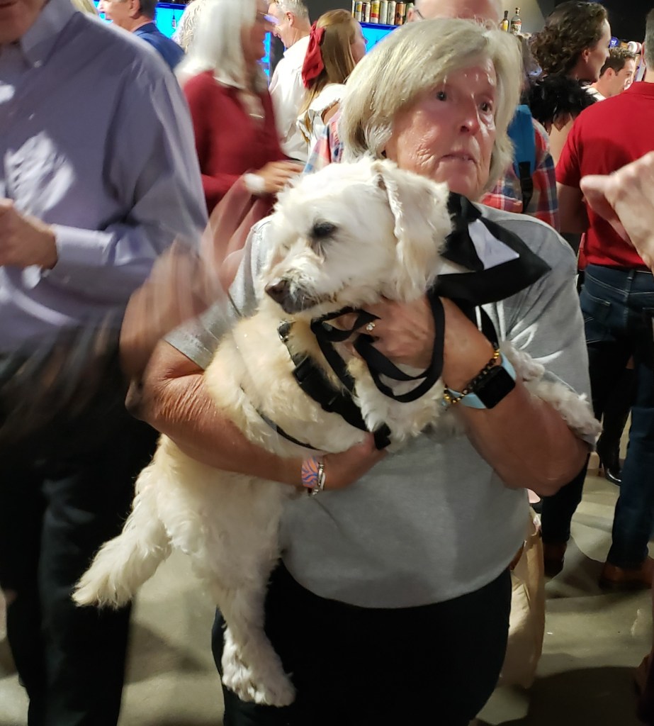 Dog visits with guests at Pepper 'Em With Love Fundraiser Gala