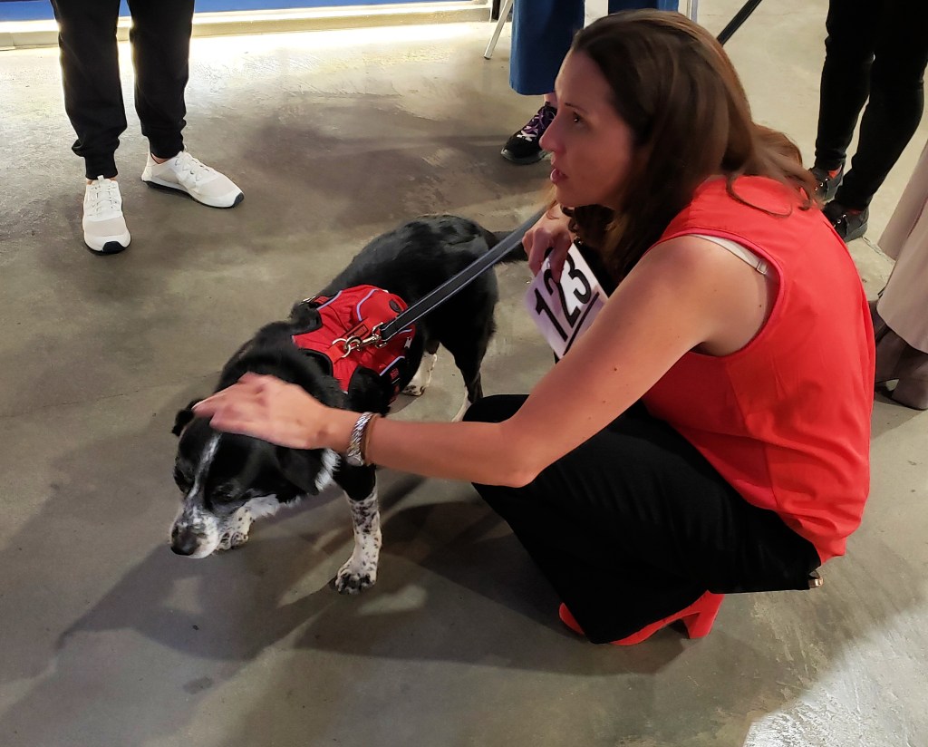 Dog visits with guests at Pepper 'Em With Love Fundraiser Gala