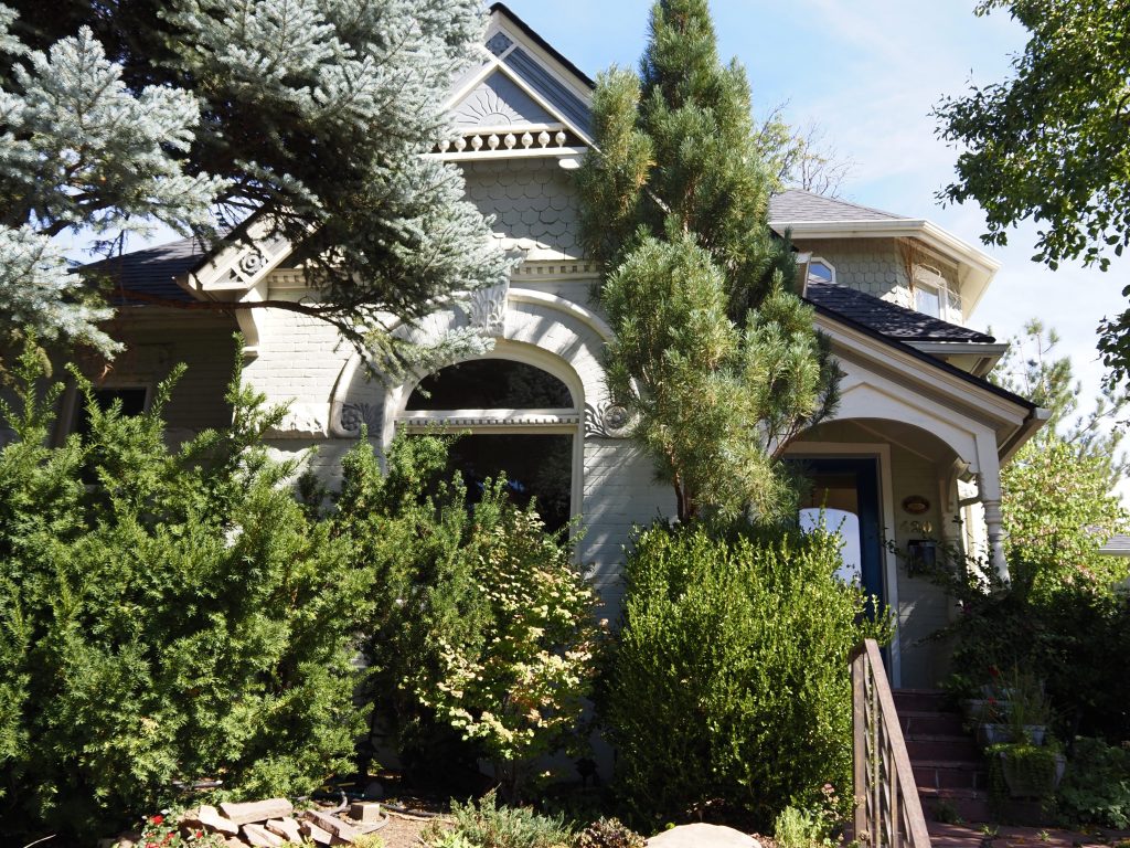 A victorian house with plants around it