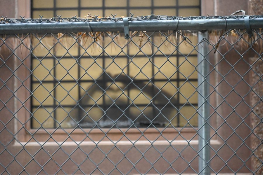 A man makes a silhouette heart while incarcerated.