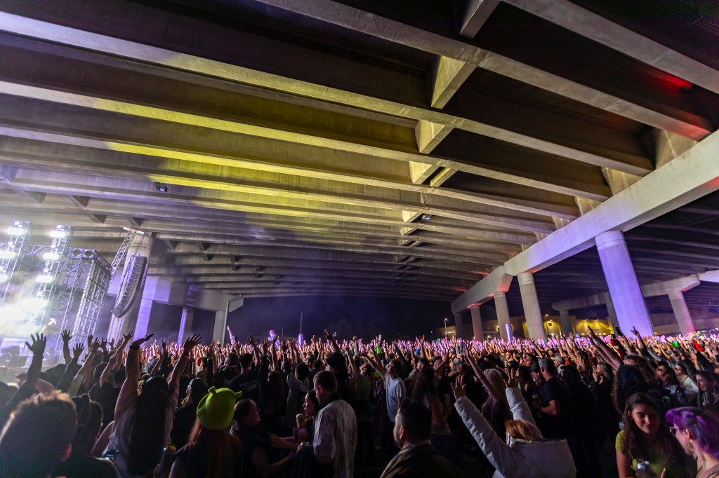 Concertgoers at Project 70: Under The Bridge