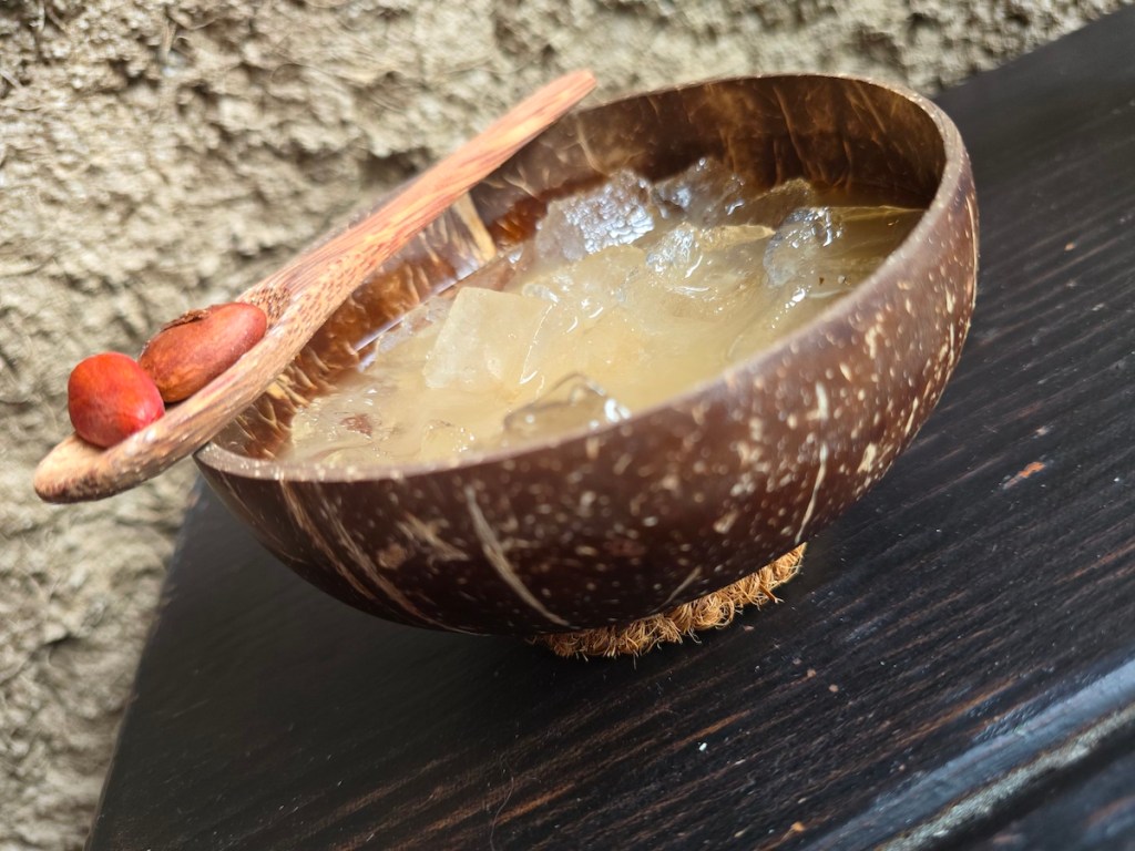a cocktail in a coconut shell