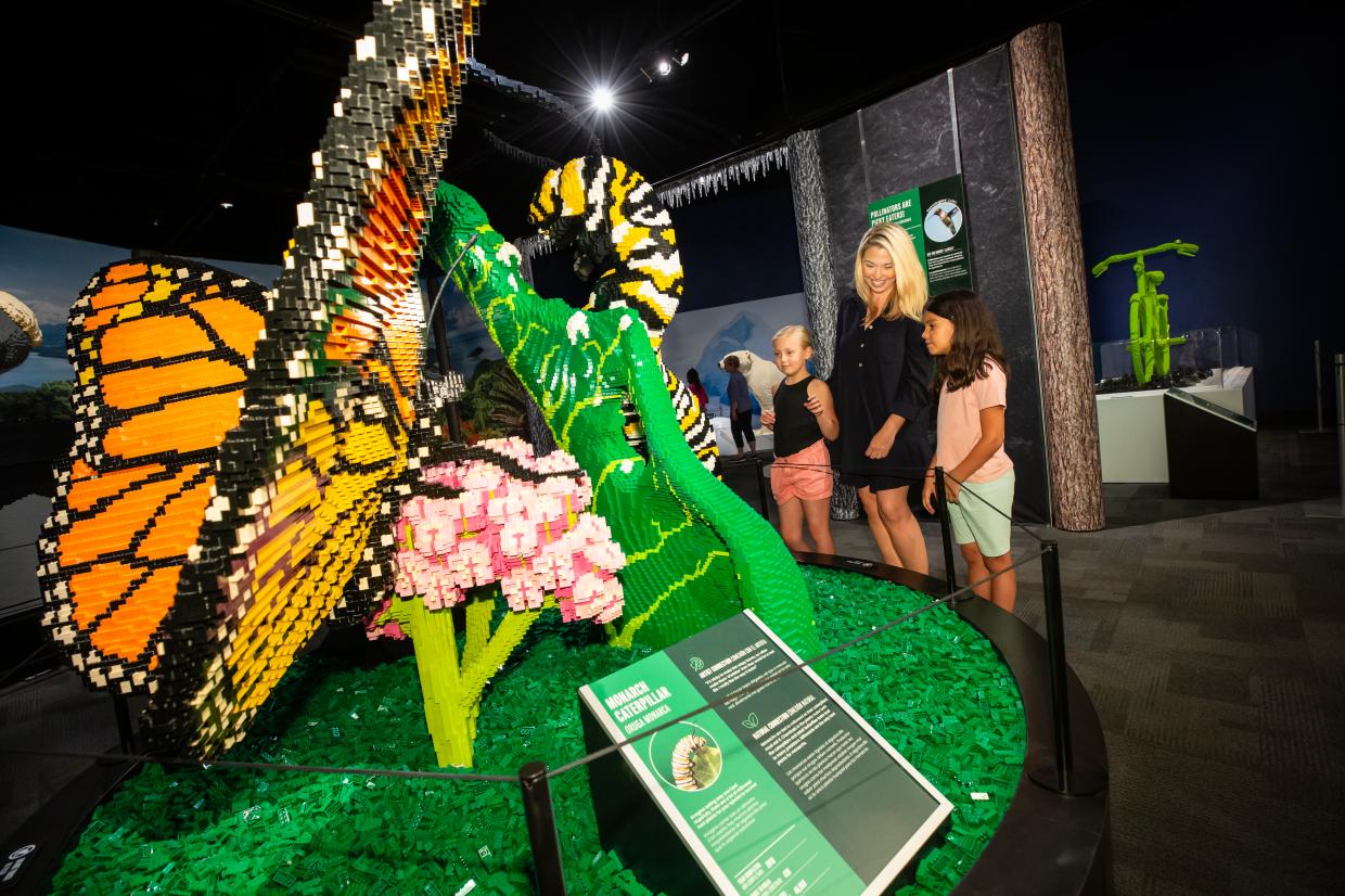 A butterfly and caterpillar made out of LEGOs.