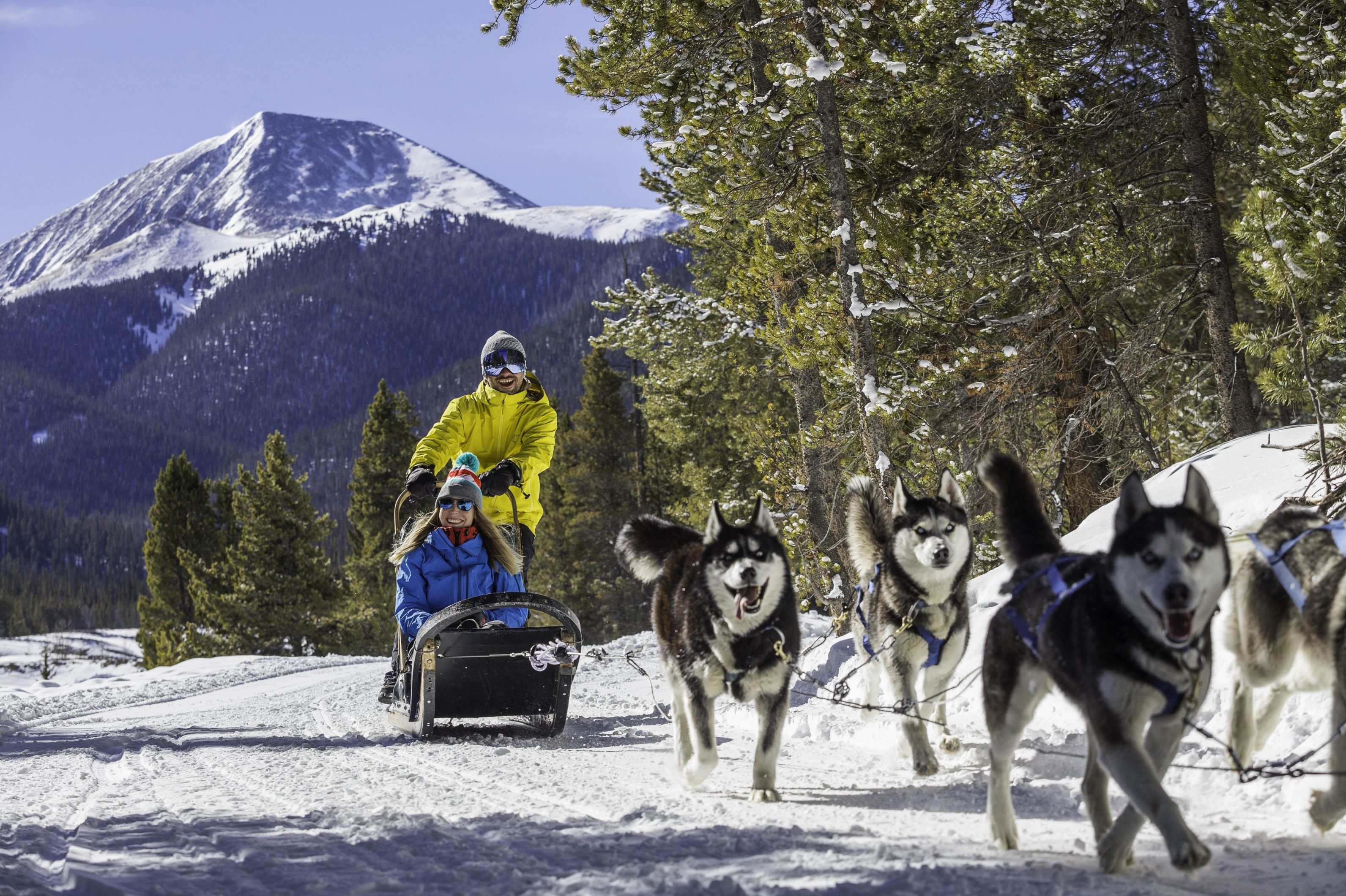 Two people riding a sleigh pulled by a team of huskies with Good Times Adventures