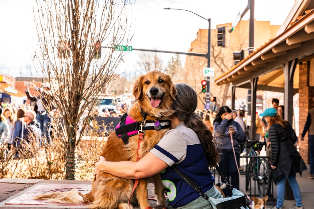 A photo of a dog during the annual Golden's in Golden event.