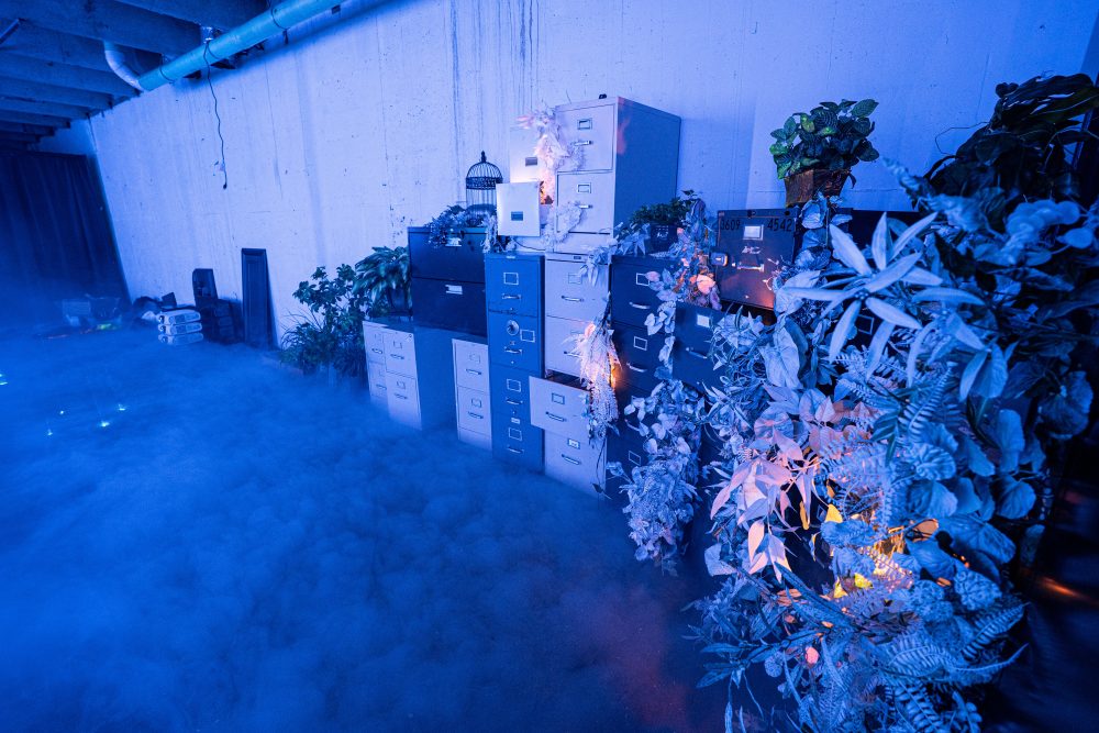 A warehouse with plants in it