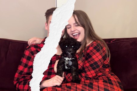 Who Gets the Dog? Colorado Considers New Pet Custody Law for Breakups