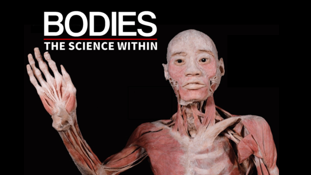Bodies – The Science Within
