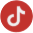 ic-tiktok