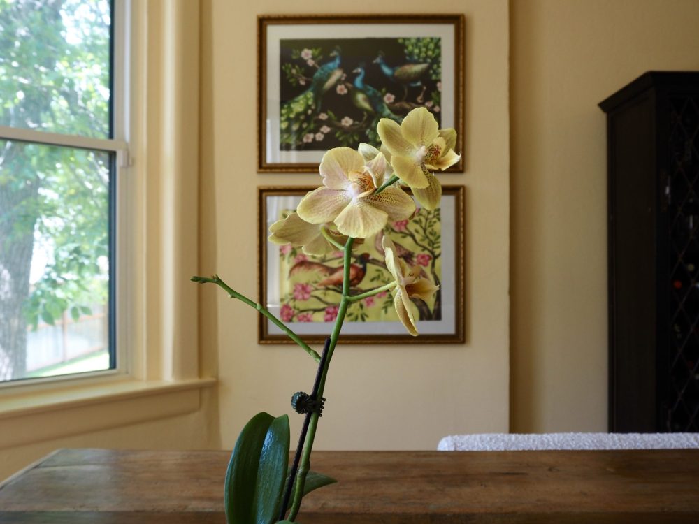 walls with art and a flower