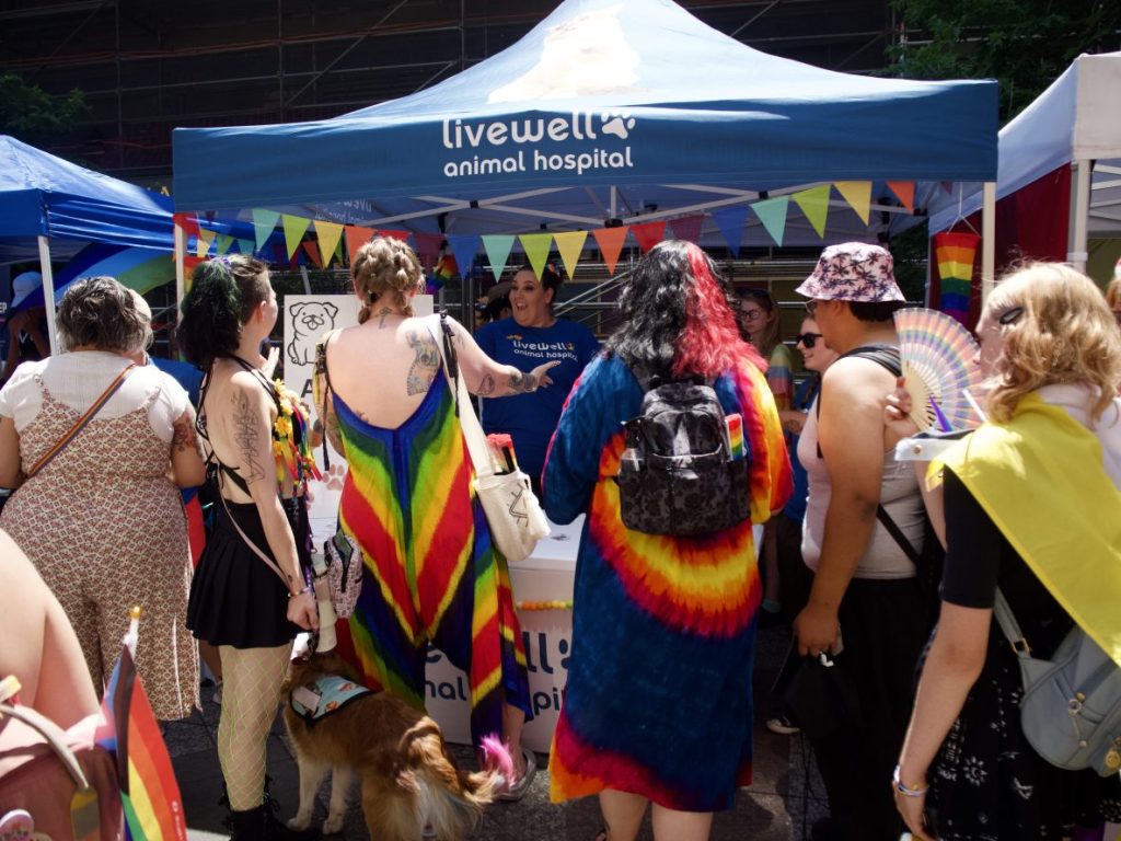 People checking out a booth at PrideFest