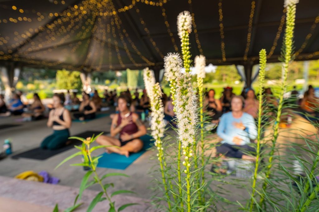 Flowers in front of a group practicing yoga at the Denver Botanic Gardens