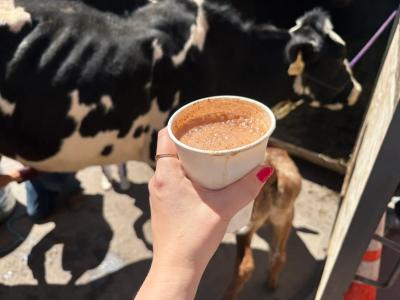 Cow tipping or drinking raw milk: Which is the bigger dare?