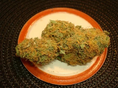 High Notes: Budget Rosin, Cinnamon Edibles and Golden Goat’s Comeback