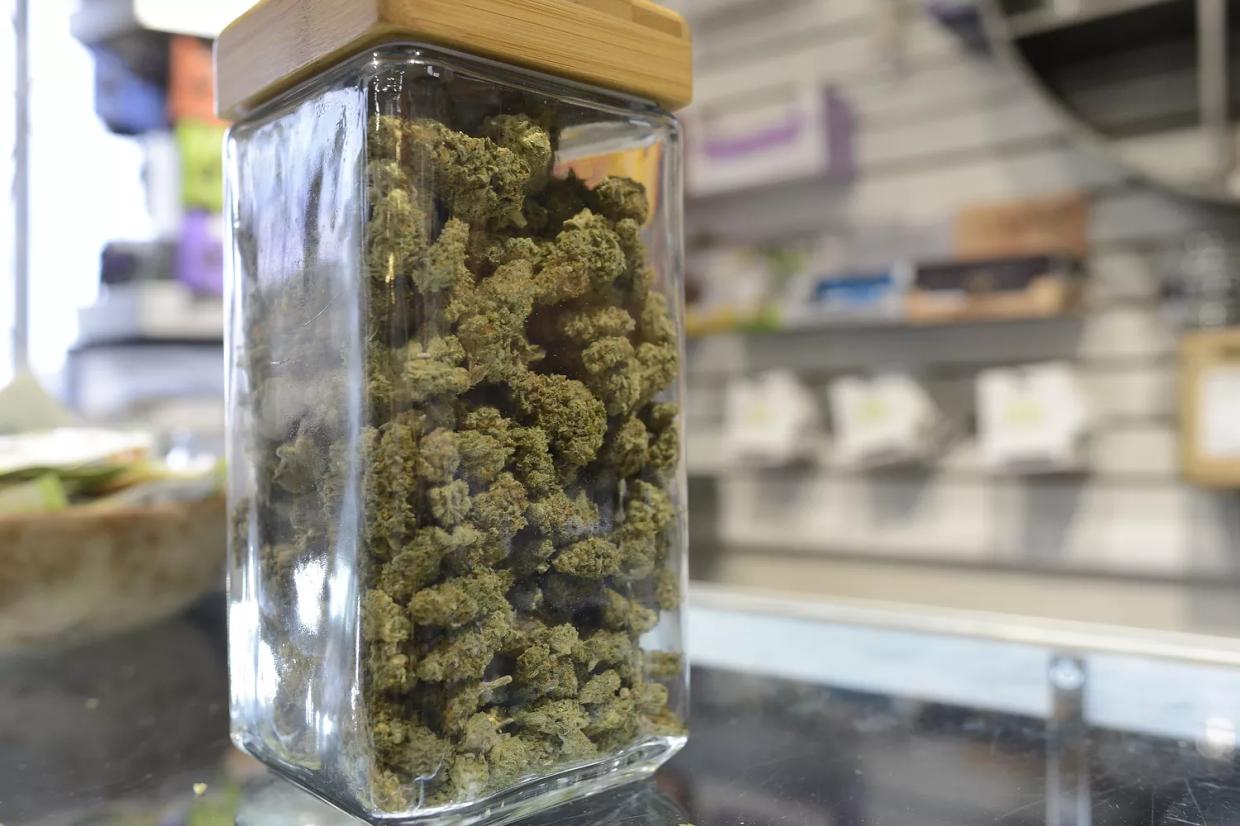 colorado cannabis dispensary display