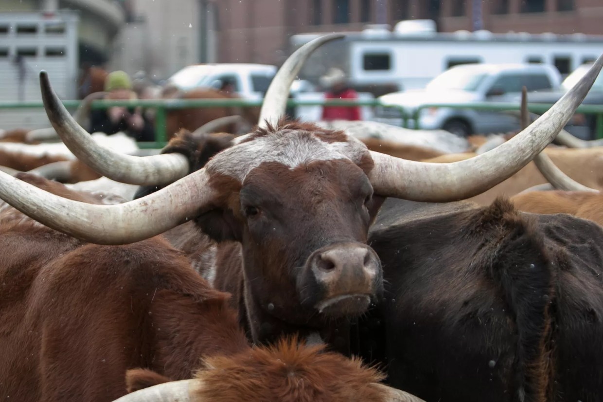 The Four Best Events on the Culinary Calendar This Week