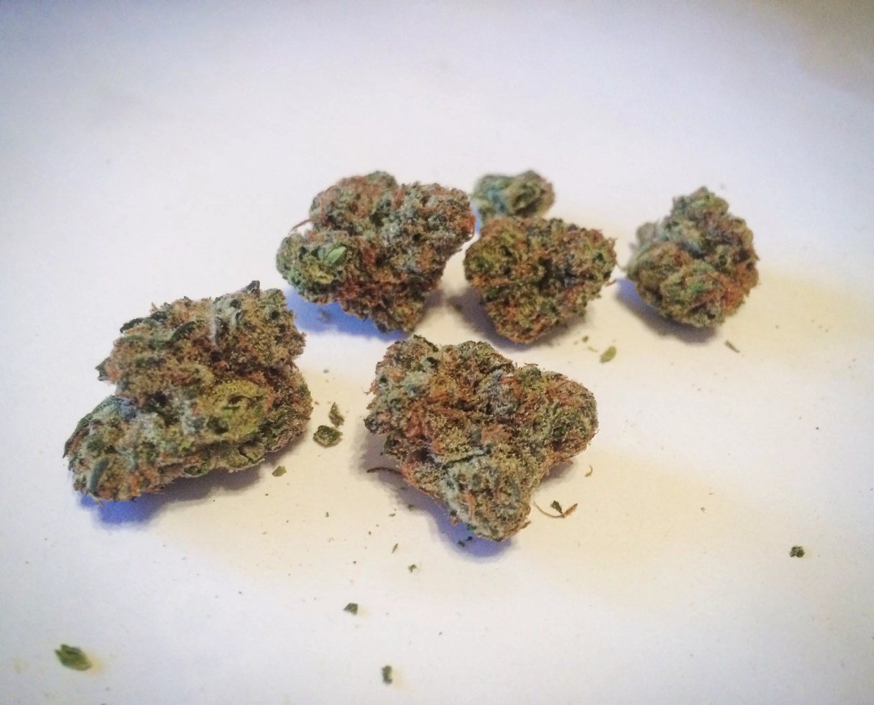 Why Colorado Tokers Love Tiger’s Milk