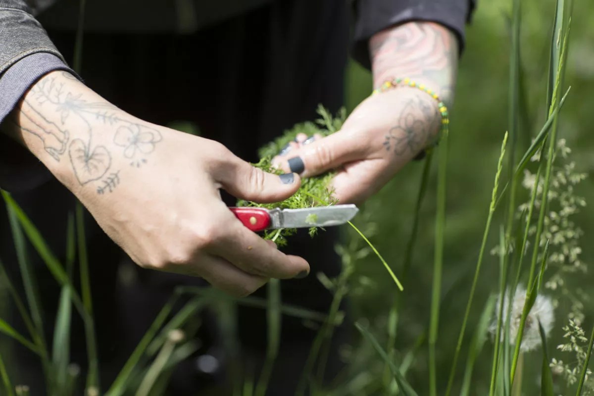 Rosehouse Will Blossom on “Weirdo South Broadway” in February