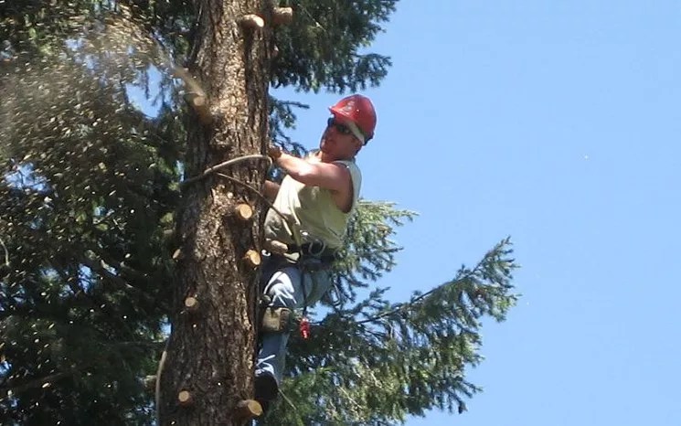 Dan Williams Learns Killing Cubs Can Unleash More Hate Than Killing People