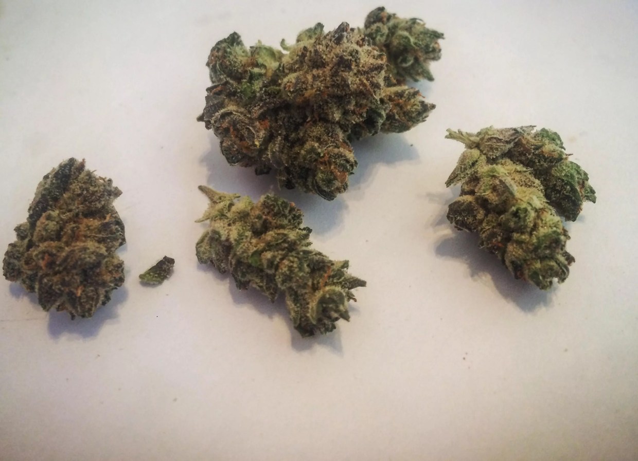 Why Colorado Tokers Love Bruce Banner