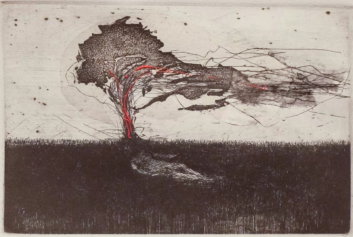 100 Colorado Creatives 3.0: Brian Comber