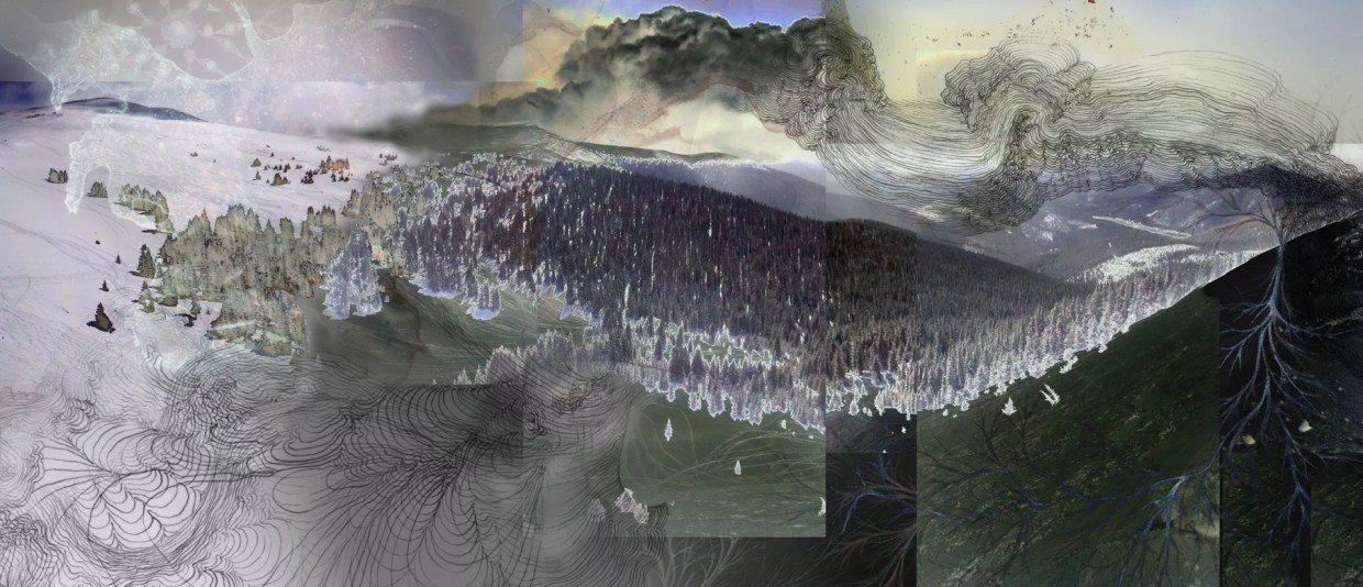 100 Colorado Creatives 3.0: Kia Neill