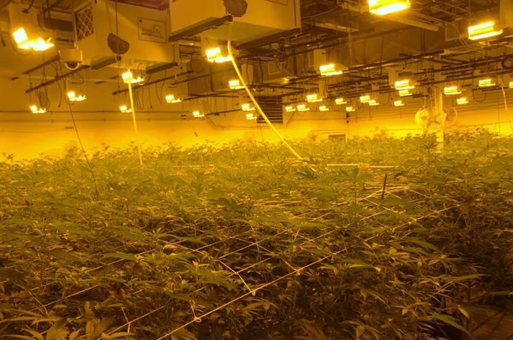 Colorado Health and Ag Departments Hosting First Marijuana Employee Safety Course