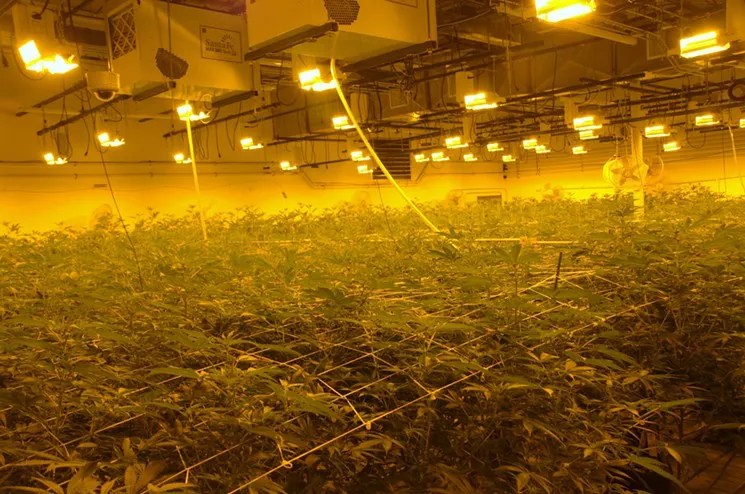 Colorado Health and Ag Departments Hosting First Marijuana Employee Safety Course