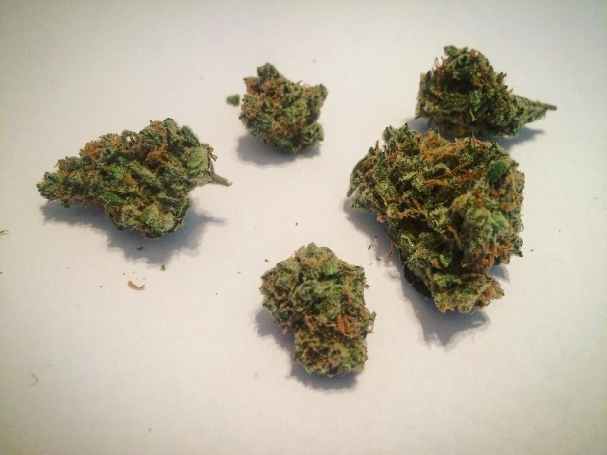 Why Colorado Tokers Love SAGE