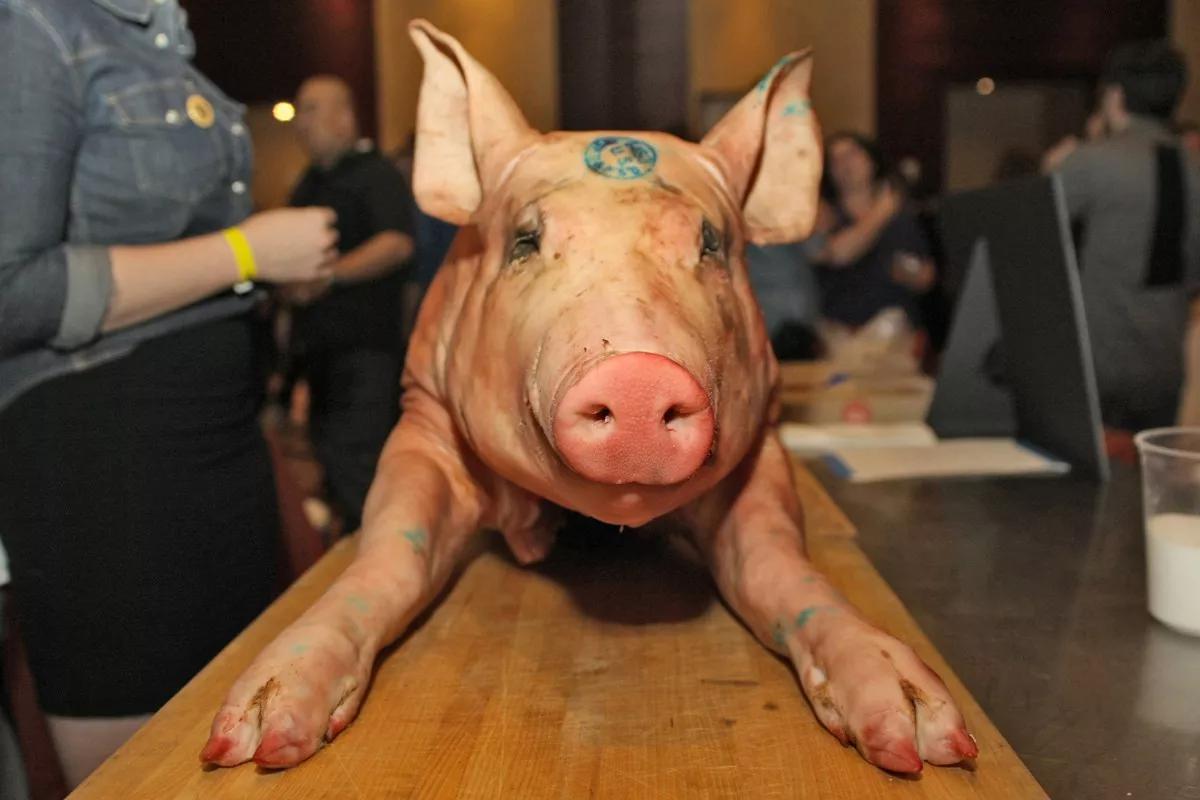 The 21 Best Events in Denver, March 14-20