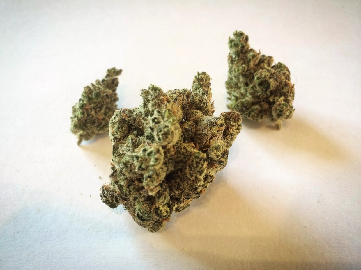 Why Colorado Tokers Love Skunkberry