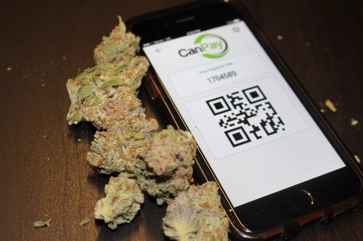 CanPay Brings Tech Alternative to Cash-Based Marijuana Industry
