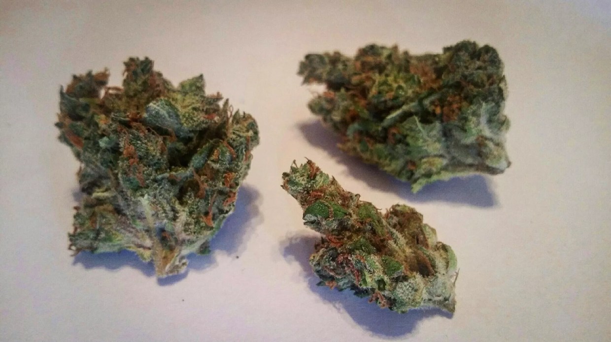 Why Colorado Tokers Love Blueberry