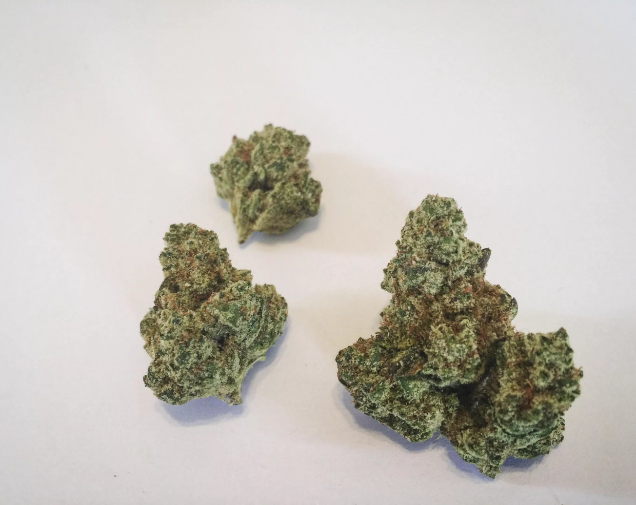 Why Colorado Tokers Love Triangle Kush