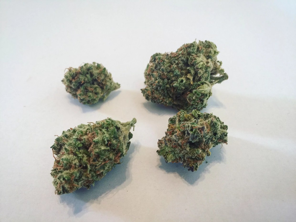 Why Colorado Tokers Love THC Bomb