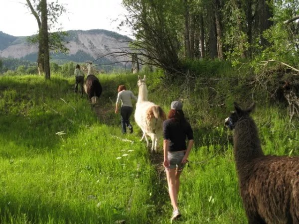 Four Cannabis-Friendly Getaways in Colorado