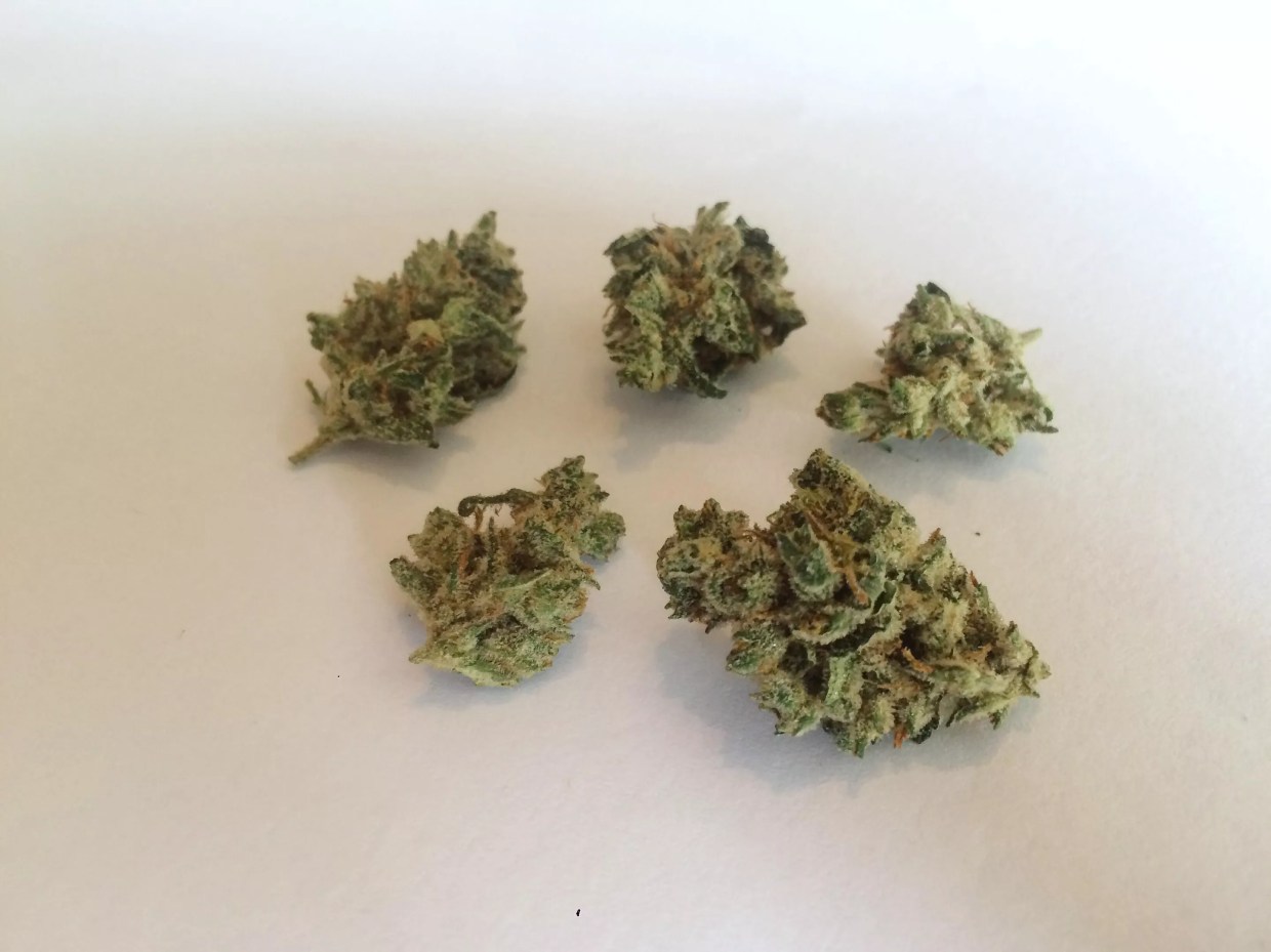 Why Colorado Tokers Love Moonshine Haze