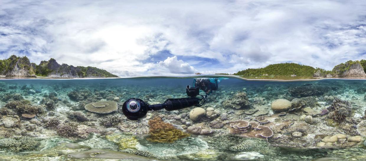 Is a Movie Enough? <i>Chasing Coral</i>’s Jeff Orlowski on Trying to Film Our Dying Planet
