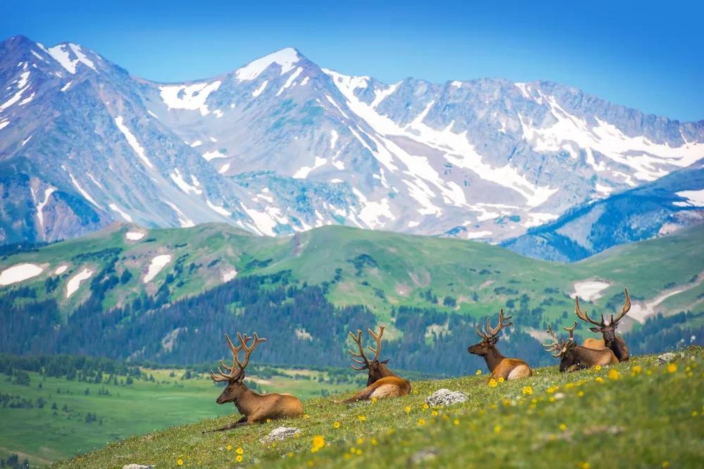 Will Trump Administration Drilling Order Threaten Colorado’s Recreation Economy?