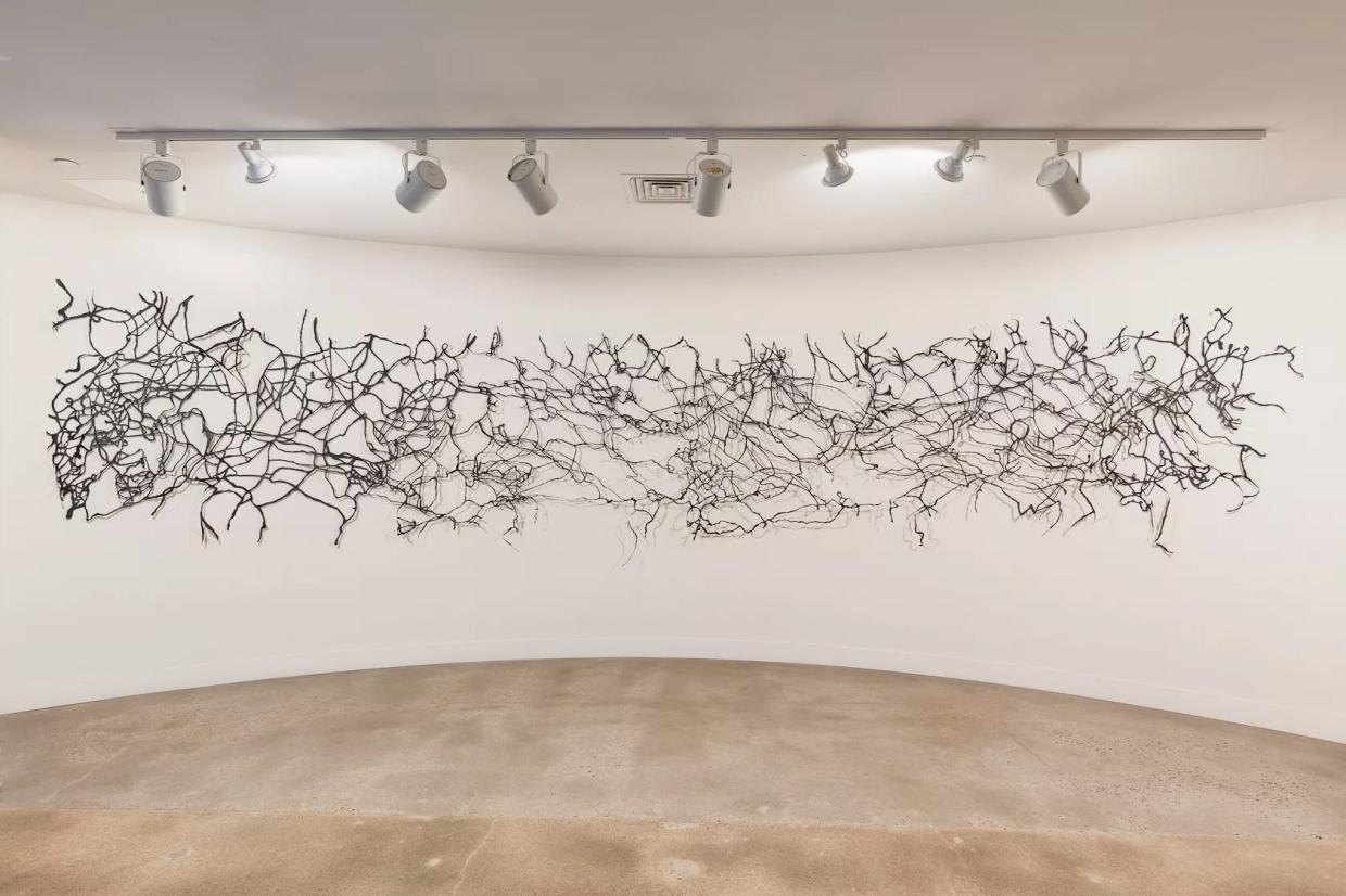 How to Create Art at a Snail’s Pace