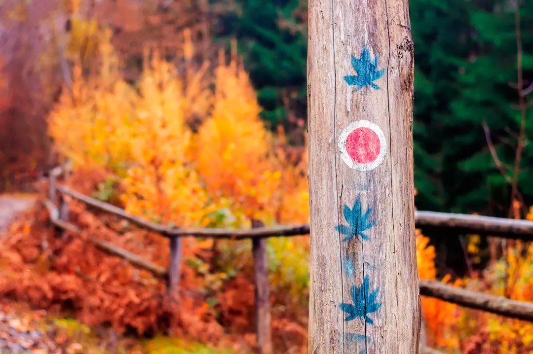 Ten Ways to Enhance Your Hike With Cannabis