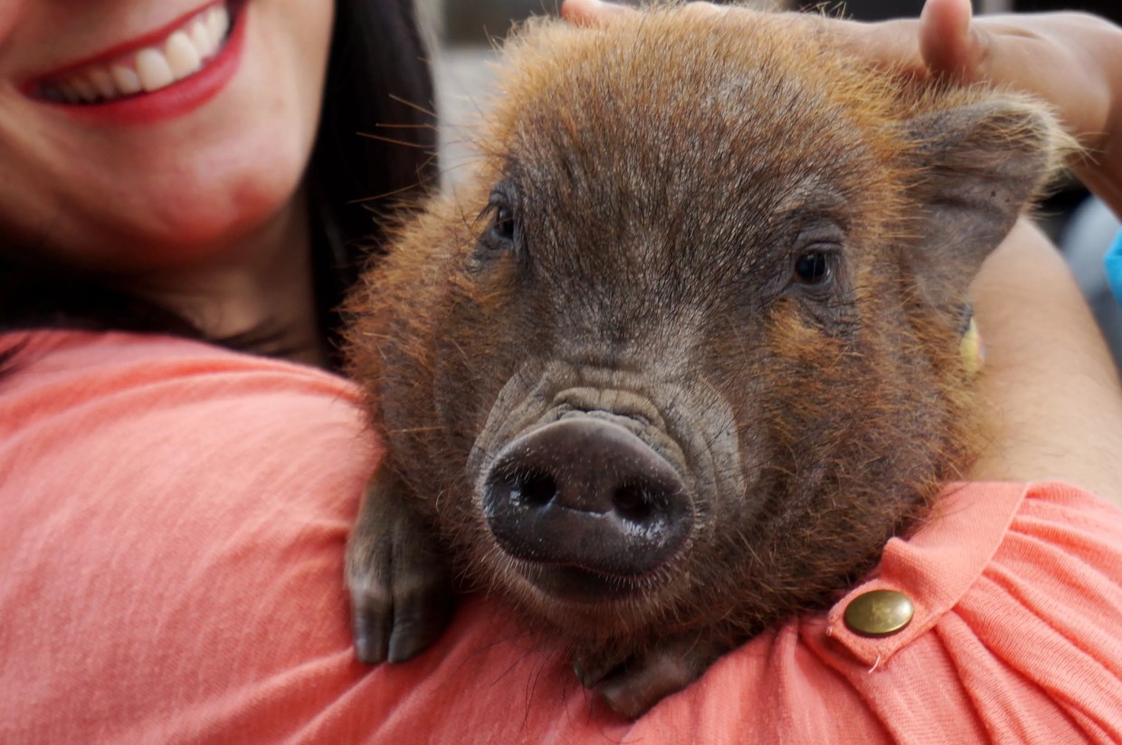 The Seven Best Events on the Culinary Calendar This Weekend