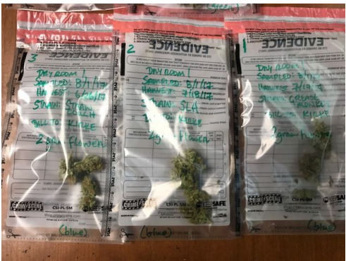 Medical Marijuana From The Hemp Center Recalled for Pesticides