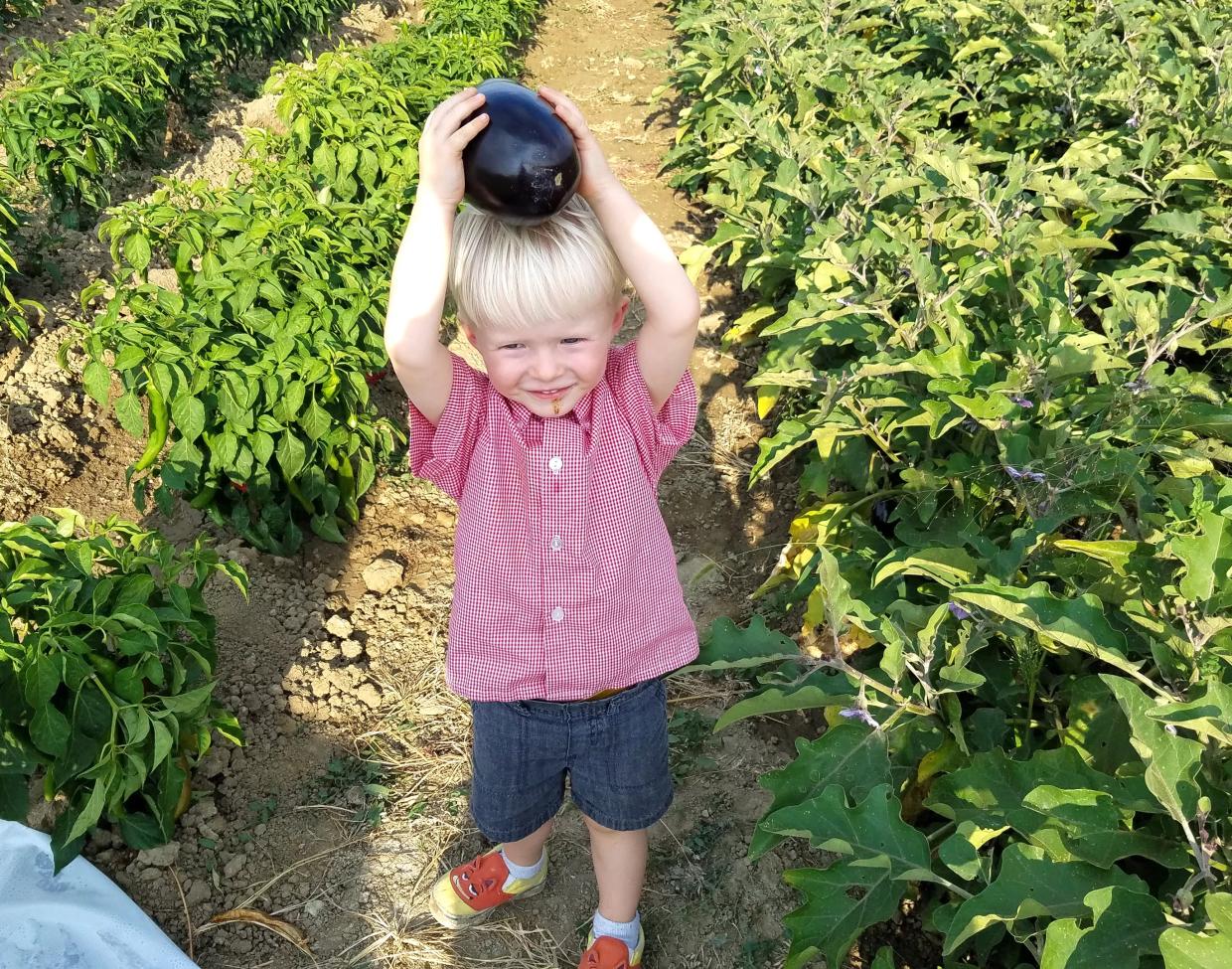 Farmers’ Market Finds: Harvesting on Site at Black Cat Farm