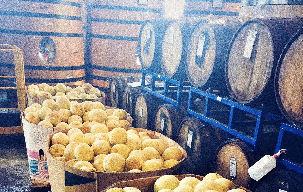 For Epic Brewing, Everything Changed in the Time It Took to Brew a Single Beer